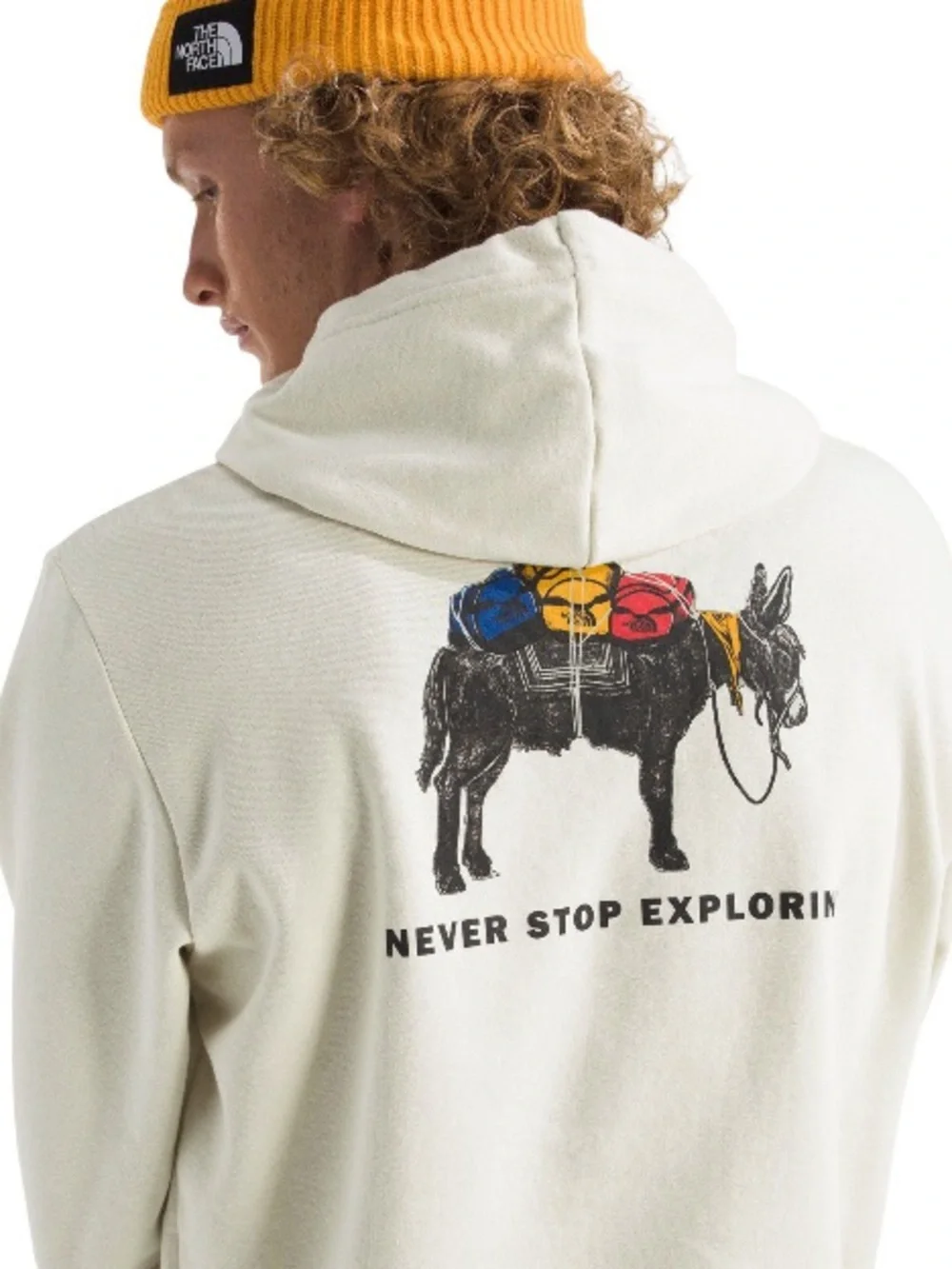 The North Face Men's Evolution Pack Graphic Hoodie